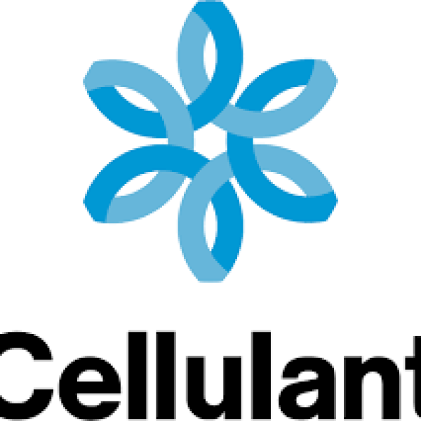 Cellulant-Corporation fit