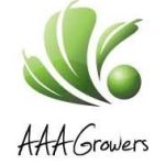 Head of Accounts Receivables at AAA Growers