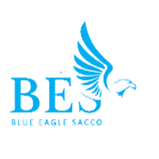 Jobs at Blue Eagle Sacco