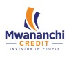 Branch Manager at Mwananchi Credit Limited