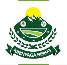 Jobs at Kirinyaga County Public Service Board