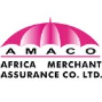 Internships At Africa Merchant Assurance Company