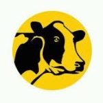 Regional Coordinator at DigiCow
