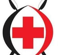 Interns at Kenya Red Cross Society