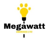 Internships at Megawatt Energies Ltd