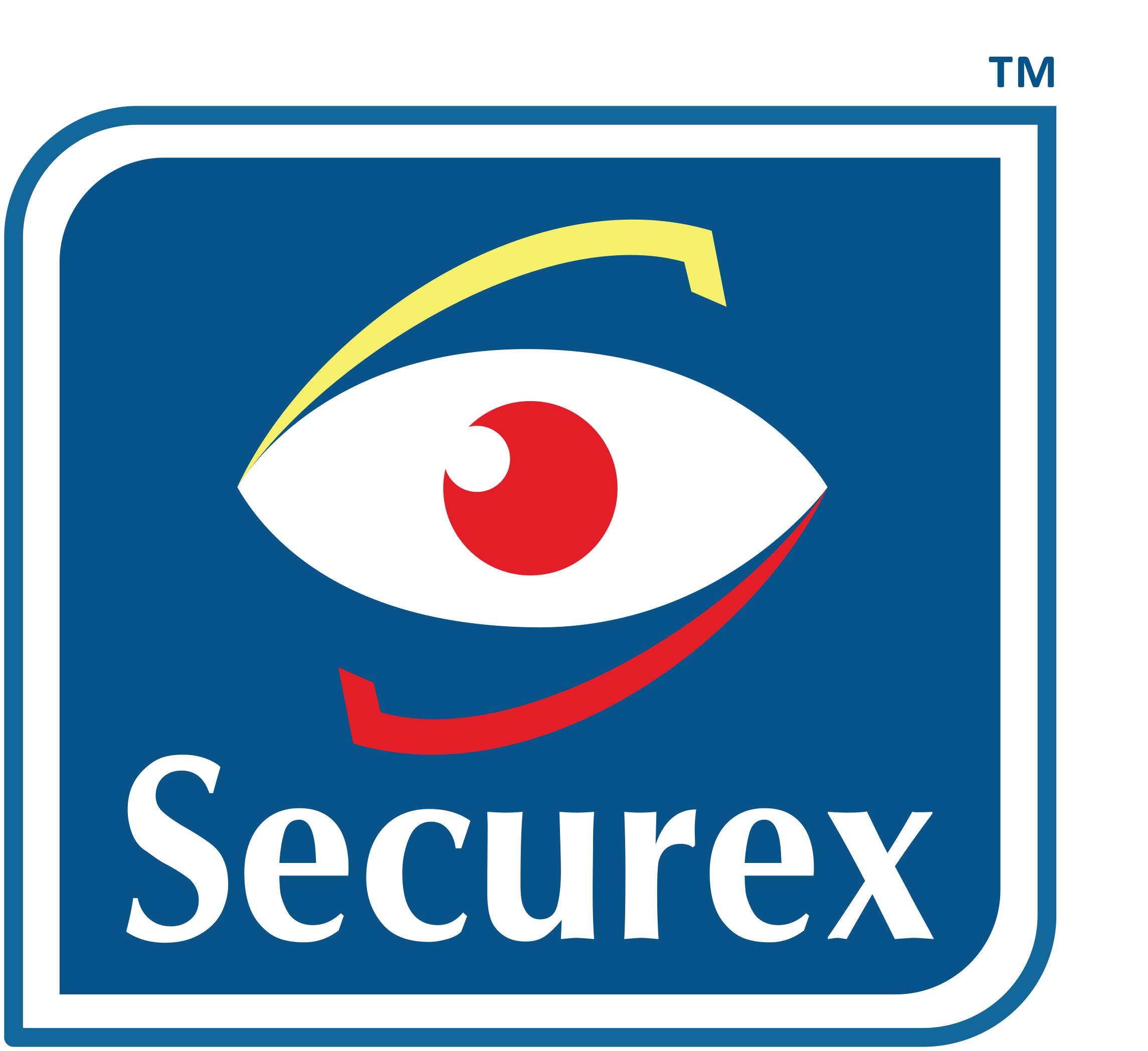 Senior Sales Advisor at Securex Agency