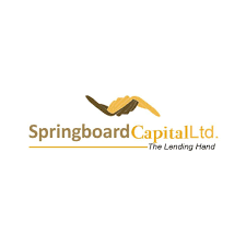 Marketing Intern at Springboard Capital Ltd 