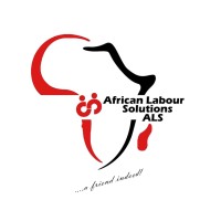 Team Leader at African Labour Solutions (ALS)