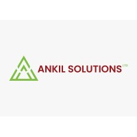 Chinese Translator at Ankil Solutions Limited