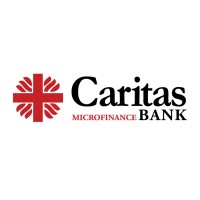 Internal Audit Officer at Caritas Microfinance Bank