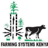 Administrative Assistant at Farming Systems Kenya (FSK)