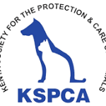 Internships at Kenya Society for Protection and care of Animals (KSPCA)