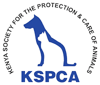 Internships at Kenya Society for Protection and care of Animals (KSPCA)