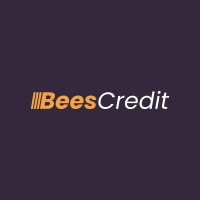 Team Lead at Bees Credit Limited