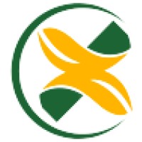 Architectural Intern at Georole