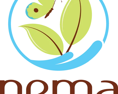 Job Opportunities at National Environment Management Authority (NEMA)