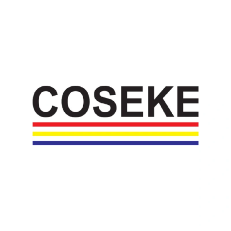 Data Entry Clerk Casuals at COSEKE GROUP