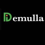 Internship Opportunities at Demulla