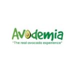 Job Vacancies at Avodemia